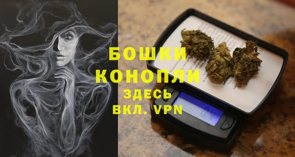 молекула духа Бугульма