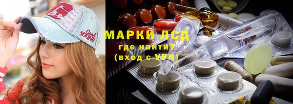 спайс Бородино