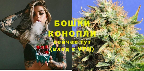 молекула духа Бугульма