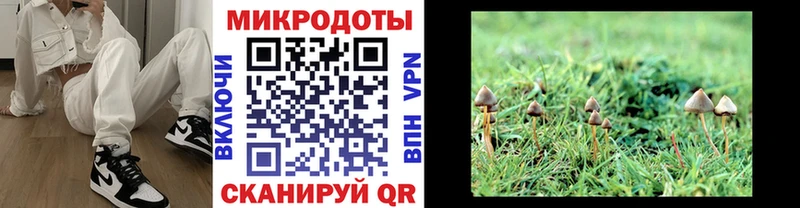 KRAKEN ссылки  Буйнакск  Галлюциногенные грибы GOLDEN TEACHER 