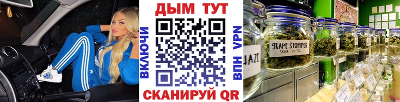 Шишки марихуана планчик  магазин    Буйнакск 